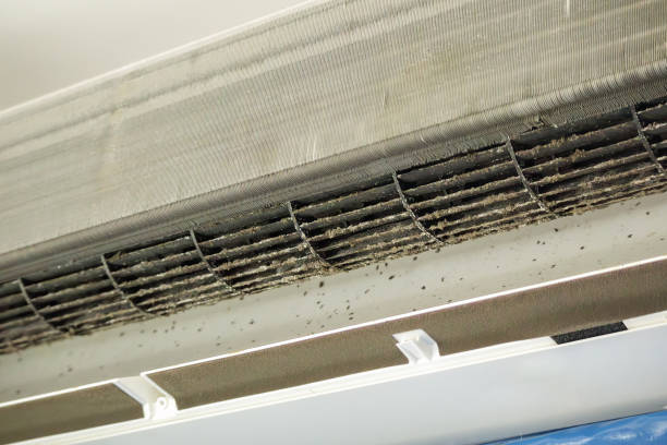 Best Air Vent Cleaning Services  in Highlands, NC